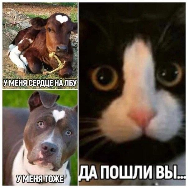 Рязань - Сасово из кабины машиниста