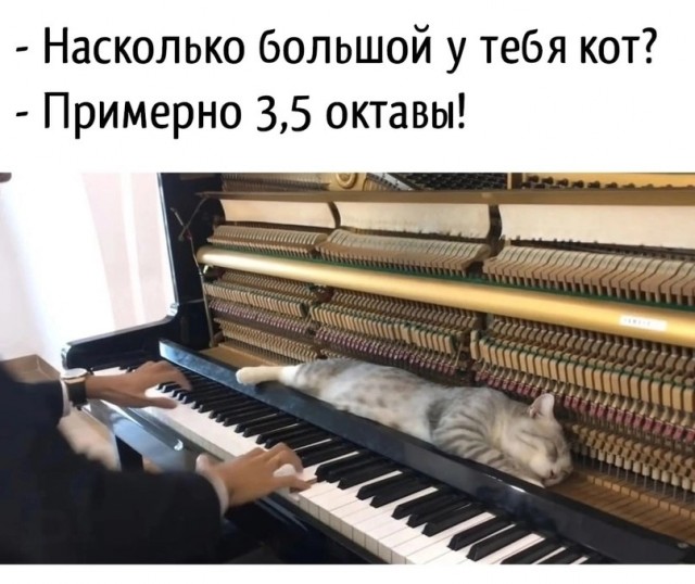 Так рождаются шедевры!