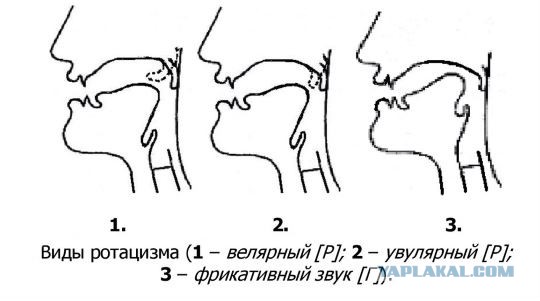 Вся сучность баб
