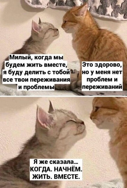 Всего понемногу. От 18.12.23