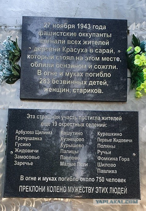 Большое Заречье. Волосовский район Ленинградской области. Деревня уничтоженная, сожженая вместе с жителями 30.10.43 года