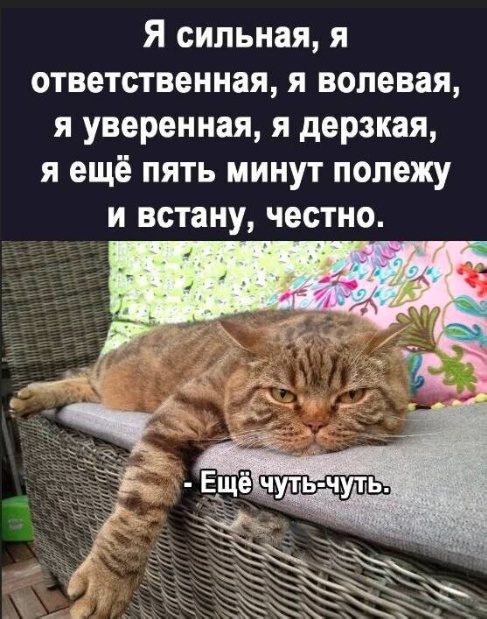 Всего понемногу. От 12.04.2024