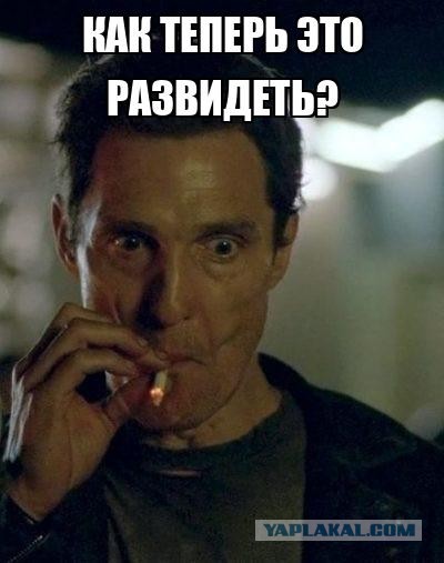 Мизулина запретила красноярцам хейтить ее