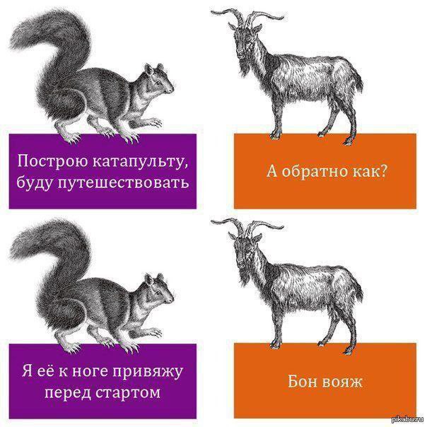 Никакие картинки