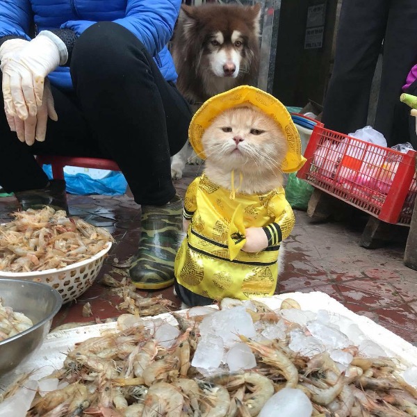 ФотоВинегрет