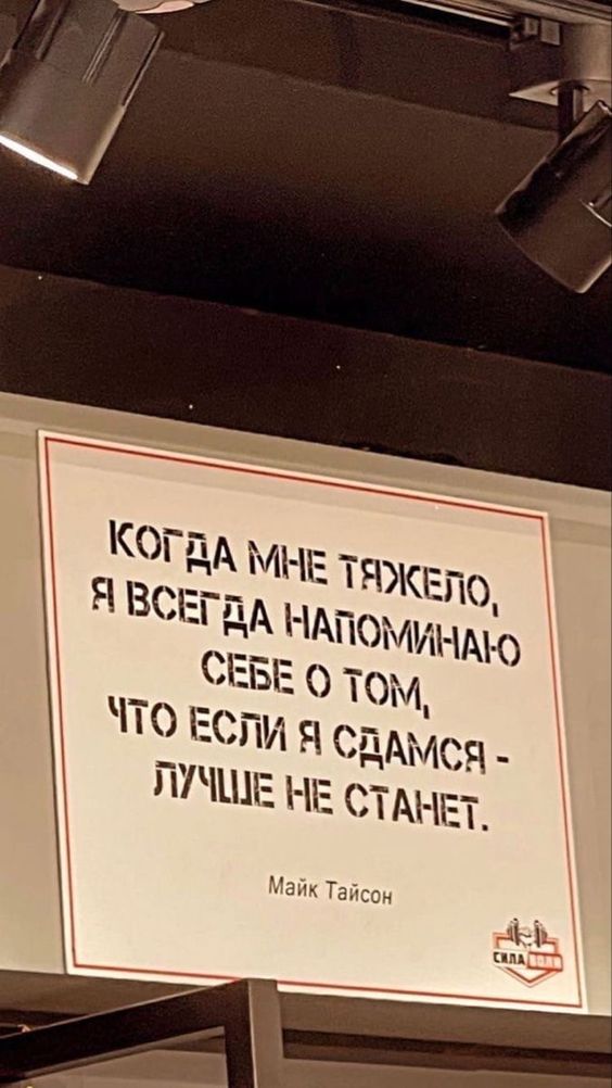 Прикольные и просто красивые картинки 10.09.2024