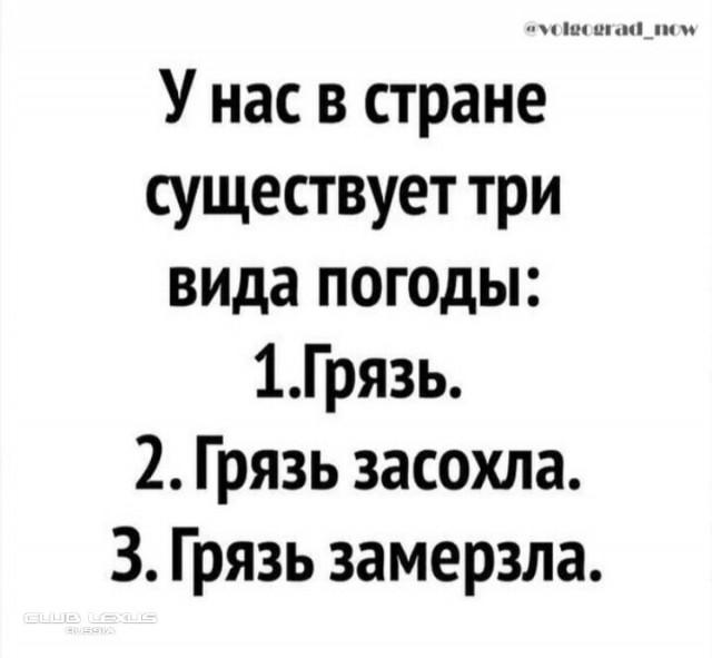 Так себе картинки 11.11.24