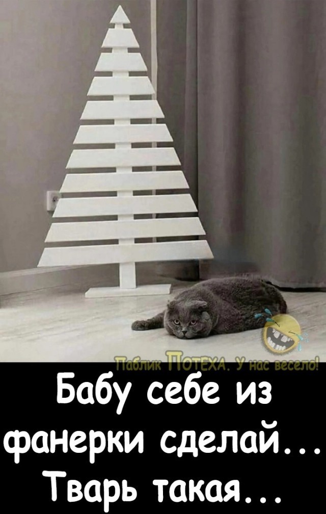 Миссия выполнена