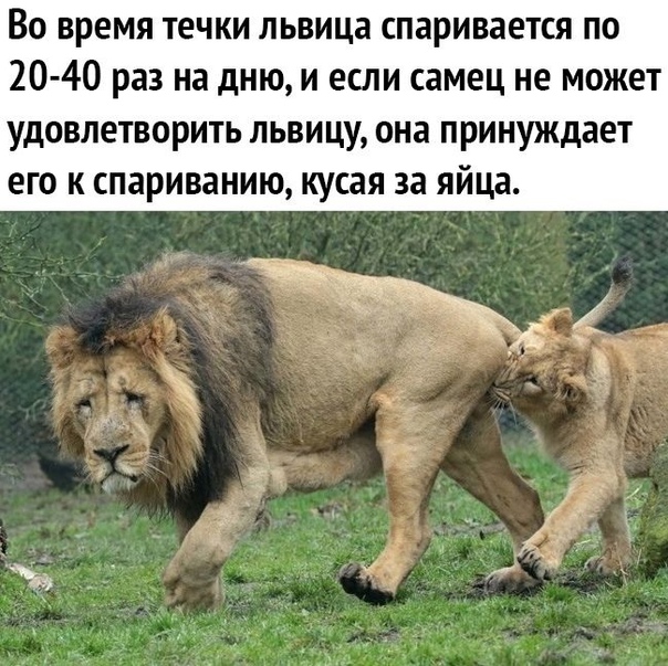 В Москве многодетная женщина свела счеты с жизнью из-за развода, финансовых трудностей и отказа бывшего мужа помогать с детьми