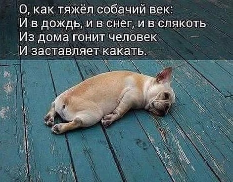 Маленькая пятница 12.02.25