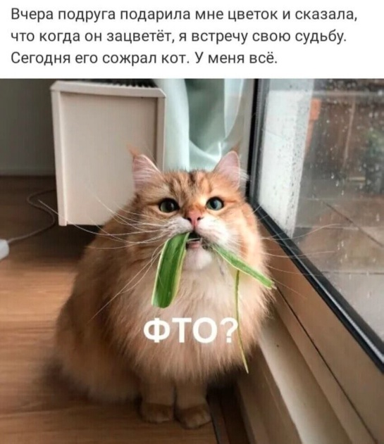 Нуштош 26.03.2025. В один из дымных дней (s3e9)