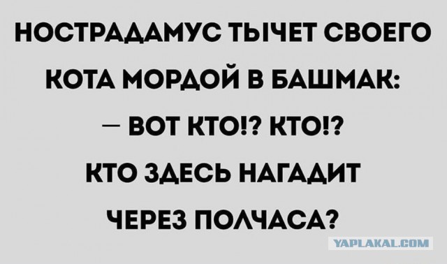 Завалялось тут случайно немного забавных картинок