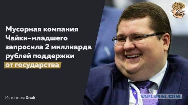 Привет, я чайка