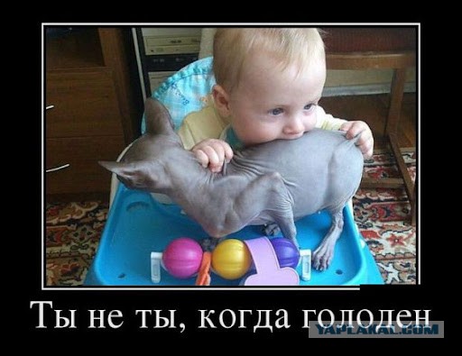 Постулат борща