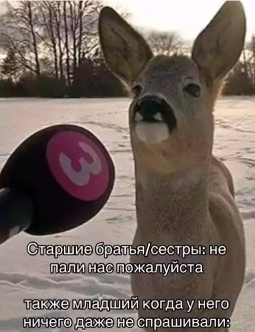 Картинки для деградации 170 (разной степени свежести)
