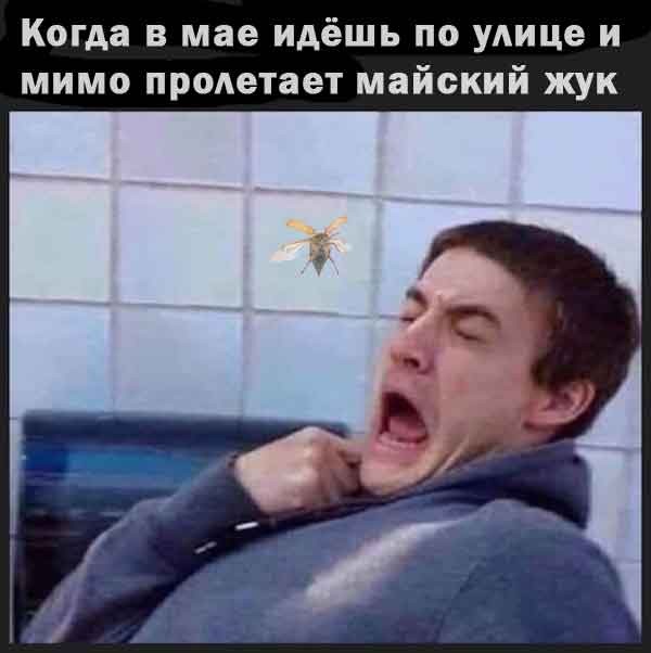 Весна в мемах