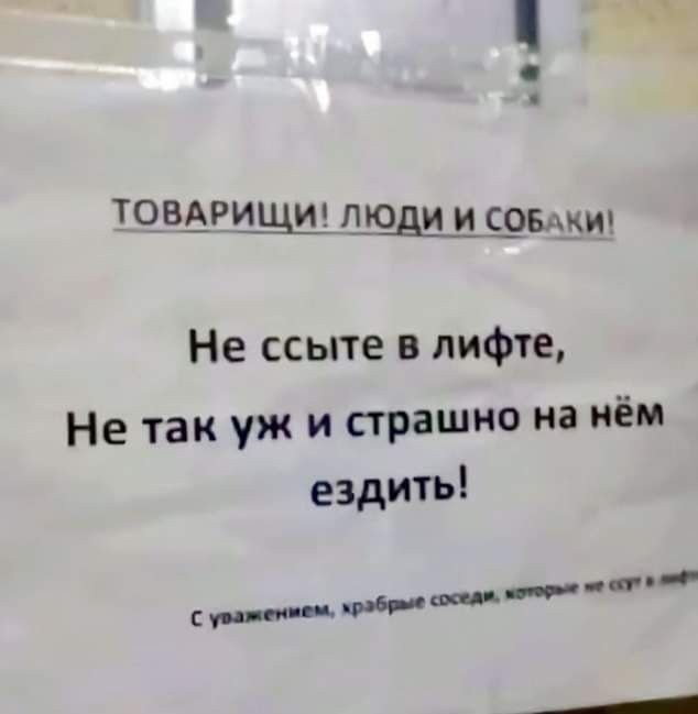 Картинки для деградации 207 (разной степени свежести)