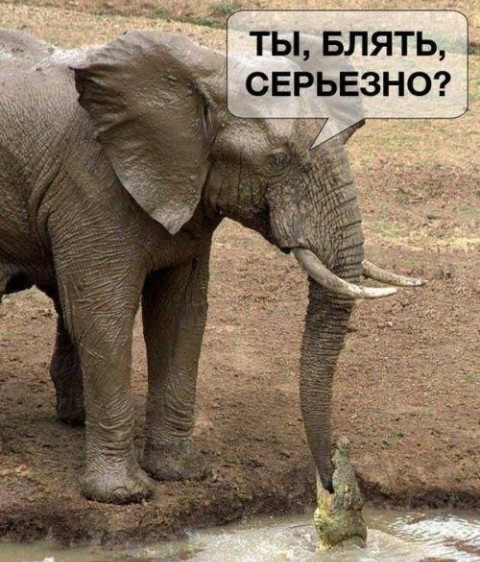 Наткнулся случайно на женский форум, и там задаются таким вопросом