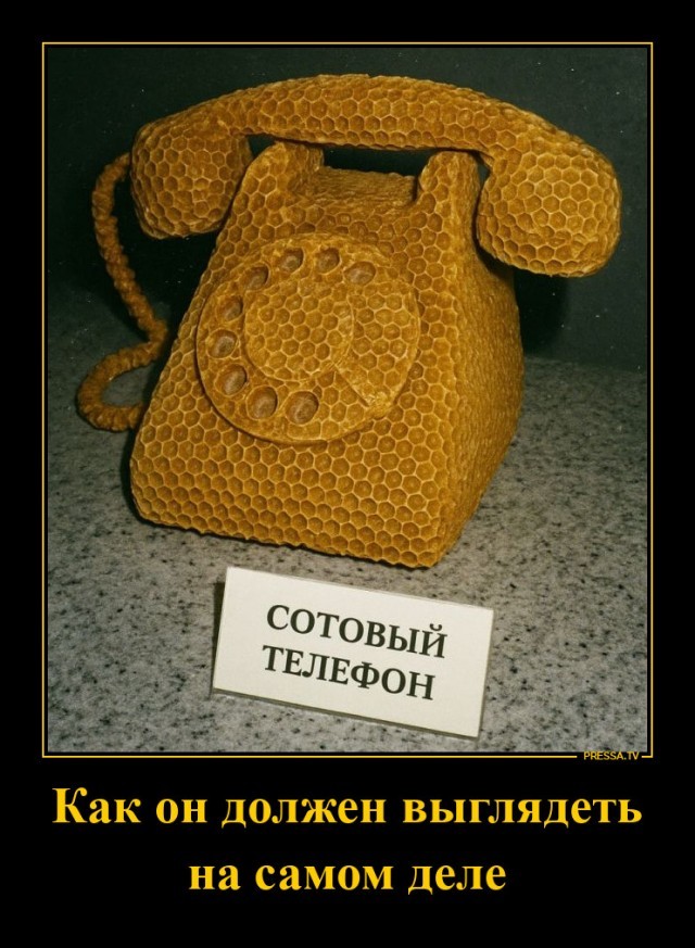 Веселые картинки в пятницу (21.08)