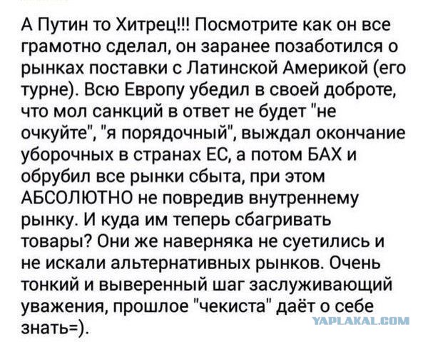 Как реагируют на санкции жители Европы