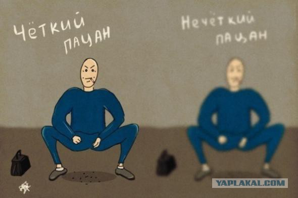 Картинки, которые перевернут мир с ног на голову