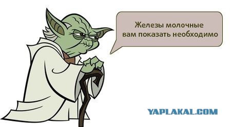Популярные мемы на ЯПе