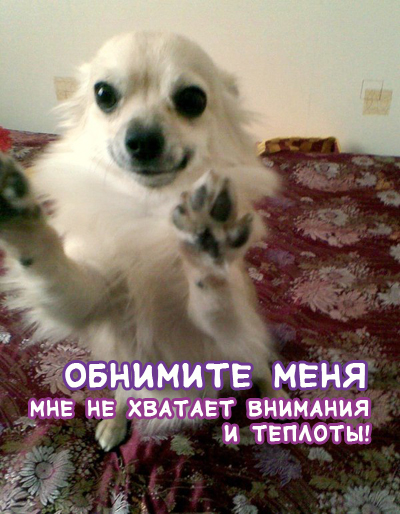 Собакочетверг 18.09.2014