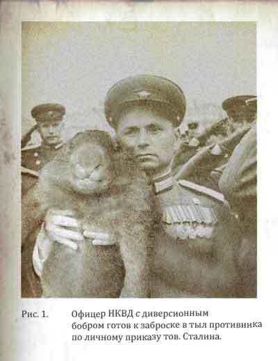 Три бобратыря