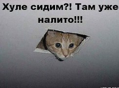 Всем зеленки!