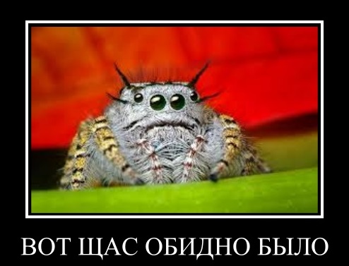 Пауки