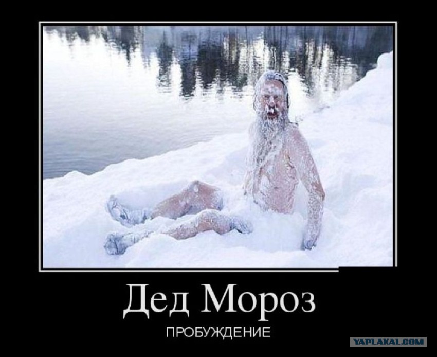 фото для вк смешные смотреть