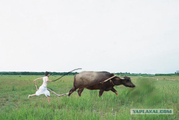Отфотошопте мою фотку по китайски