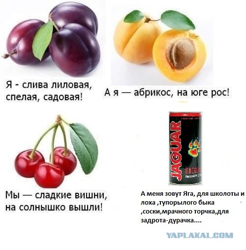 Я слива лиловая...