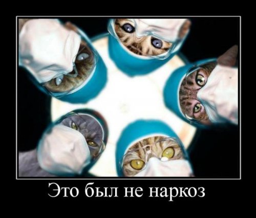 Картинки с буквами 5