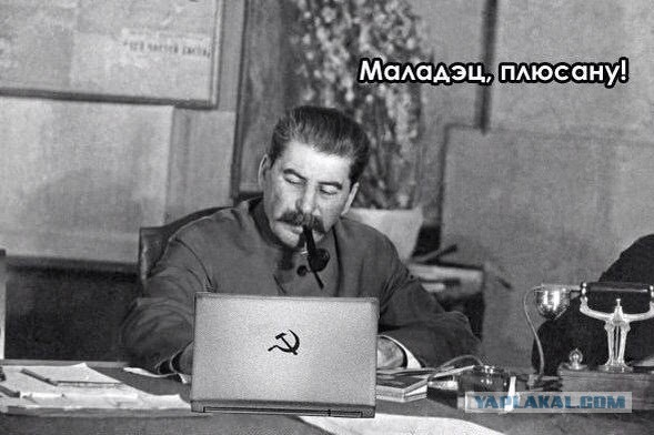 В Северную Корею пришло лето!