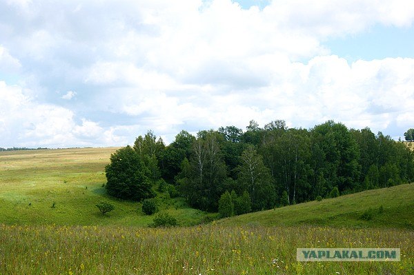 Небольшая дверь в Лето!