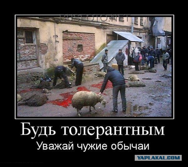 Мигранты захватили Лондон...