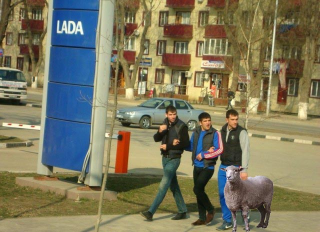 Милые чеченцы