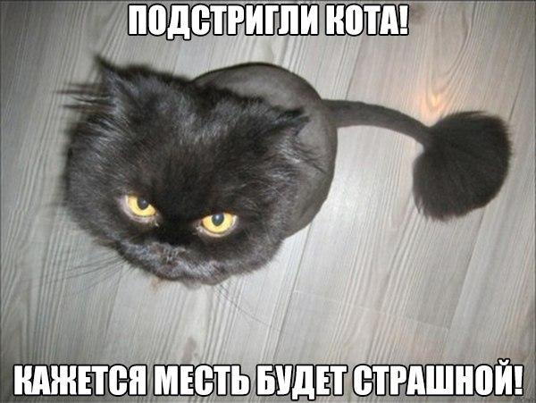 Немного картинок и демотиваторов