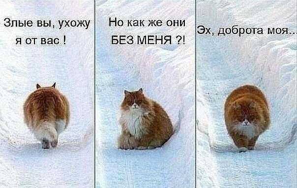 Картинки на пятницу