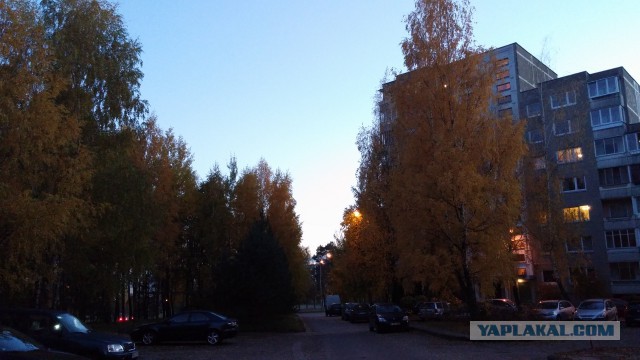 Пост про быдло.