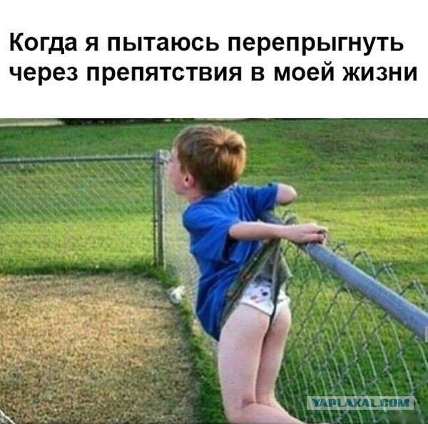 Забавные картинки из Сети