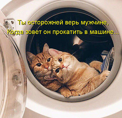 Веселые картинки