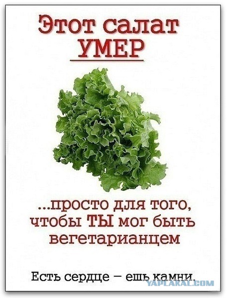 Веганы против мясоедов