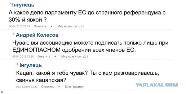 СМИ: 64% голландцев высказались против ассоциации Украины с ЕС