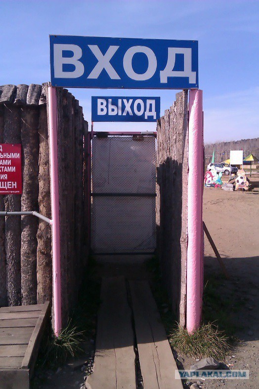 Подборка интересных и веселых картинок