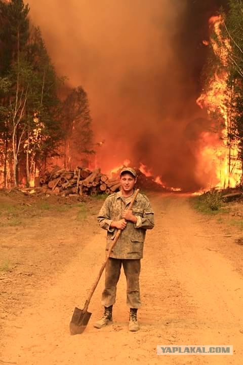 Шойгу заявил о создании сотен центров для подготовки юнармейцев