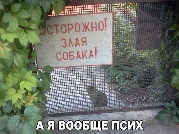 Мохнатые беспредельщики