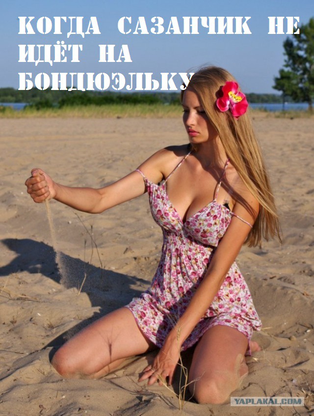 Подборка картинок