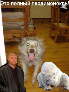Как заставить мужа выгулять собаку